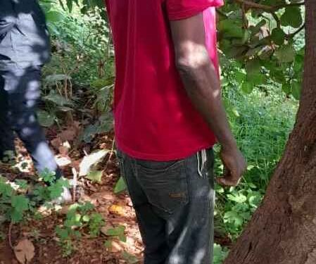 Siguiri : LE JEUNE GNÉRIKI HABA S&rsquo;EST DONNÉ LA MORT PAR PENDAISON AU QUARTIER SIGUIRI KOURA l