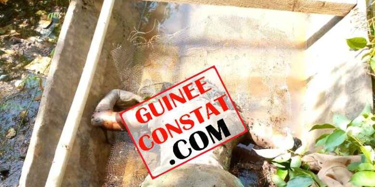 Siguiri: LE CORPS SANS VIE D&rsquo;UNE GAMINE REPÊCHÉ DANS LE FLEUVE DJOLIBA . 