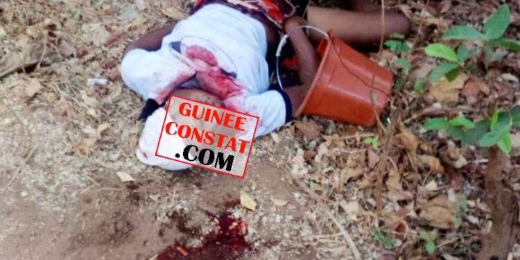 Mamou / Insécurité : UNE FEMME A TROUVÉ LA MORT DE MANIÈRE ATROCE AU SECTEUR FELLO-BANTAN