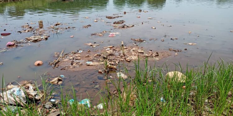 Festival sur le Milo à Kankan : UN RENDEZ-VOUS CULTUREL, MAIS QUEL IMPACT SUR l’AVENIR DU FLEUVE ?
