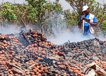 Saisie à Kourémalé : PLUS DE 2 000 CAISSES DE MANDARINES IMPROPRES DÉTRUITES