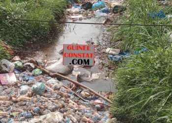 Insalubrité rampante au pont de Kimbely : UN SCANDALE AU CŒUR DE MAMOU MALGRÉ LES EFFORTS DES HABITANTS. 