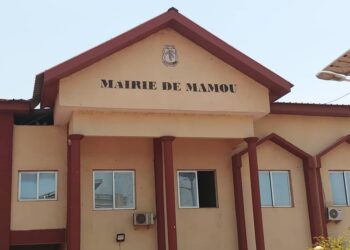 Mamou Négligence Gravissime à Soyah : FATOUMATA Diallo ACCOUCHE À TERRE DEVANT LE CENTRE DE SANTÉ